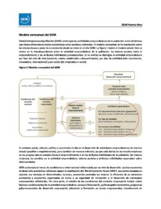 Metodologia y definiciones – GEM 2016 Puerto Rico